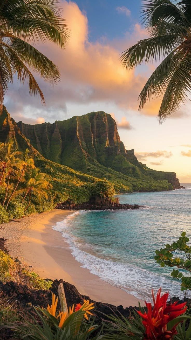 Tenerife – sunset palms